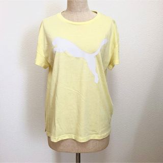 プーマ(PUMA)の【新品】PUMA プーマTシャツ　レディースM(Tシャツ(半袖/袖なし))