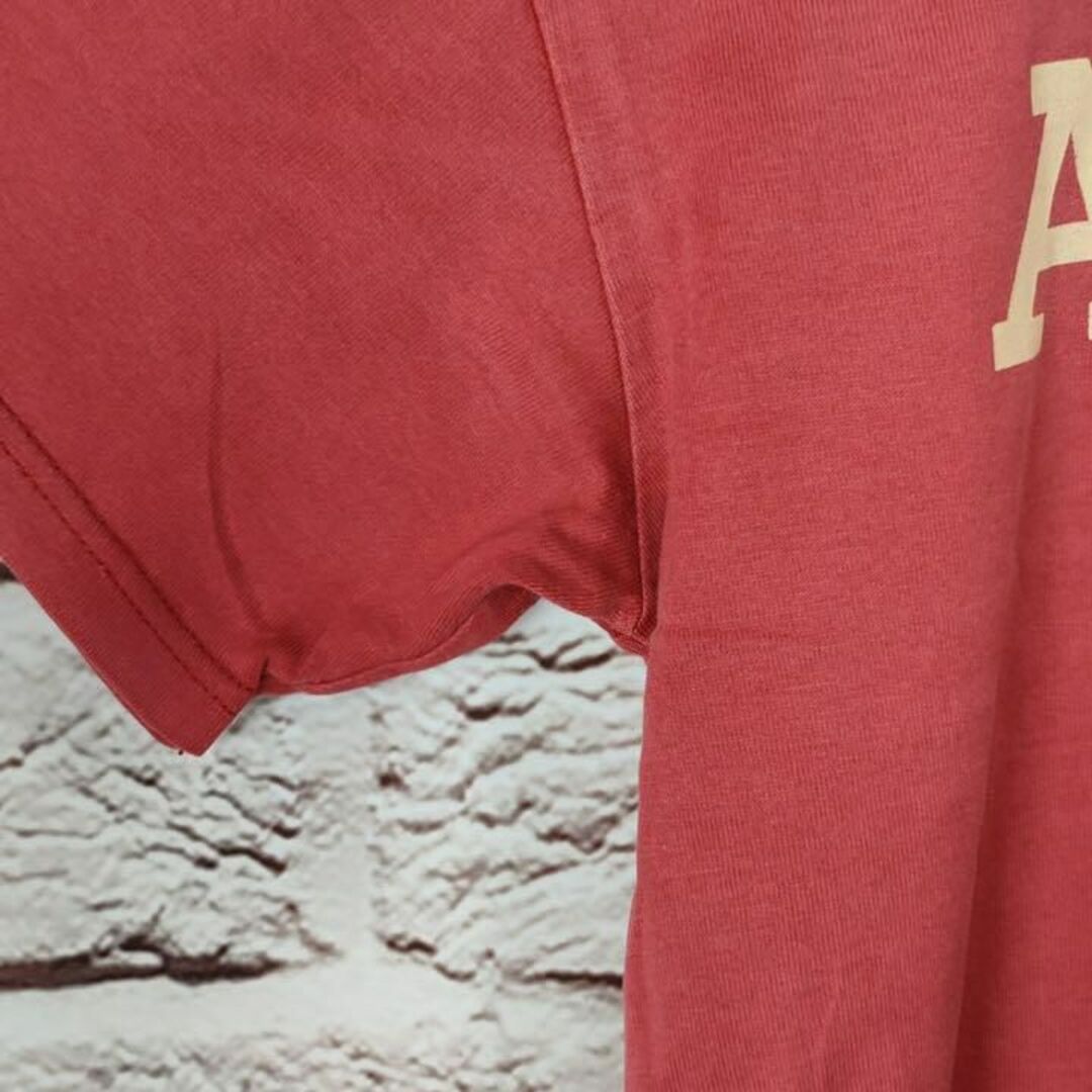 AIGLE(エーグル)のAIGLE　エーグル　トップス　Tシャツ　レディース　メンズ　夏【xs】 レディースのトップス(Tシャツ(半袖/袖なし))の商品写真