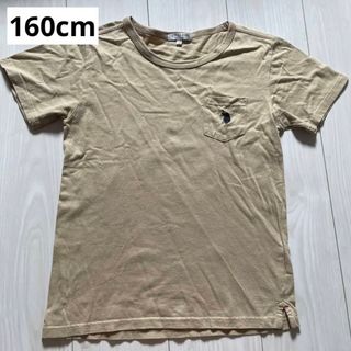 160cm ベージュ 半袖 Tシャツ(Tシャツ/カットソー)