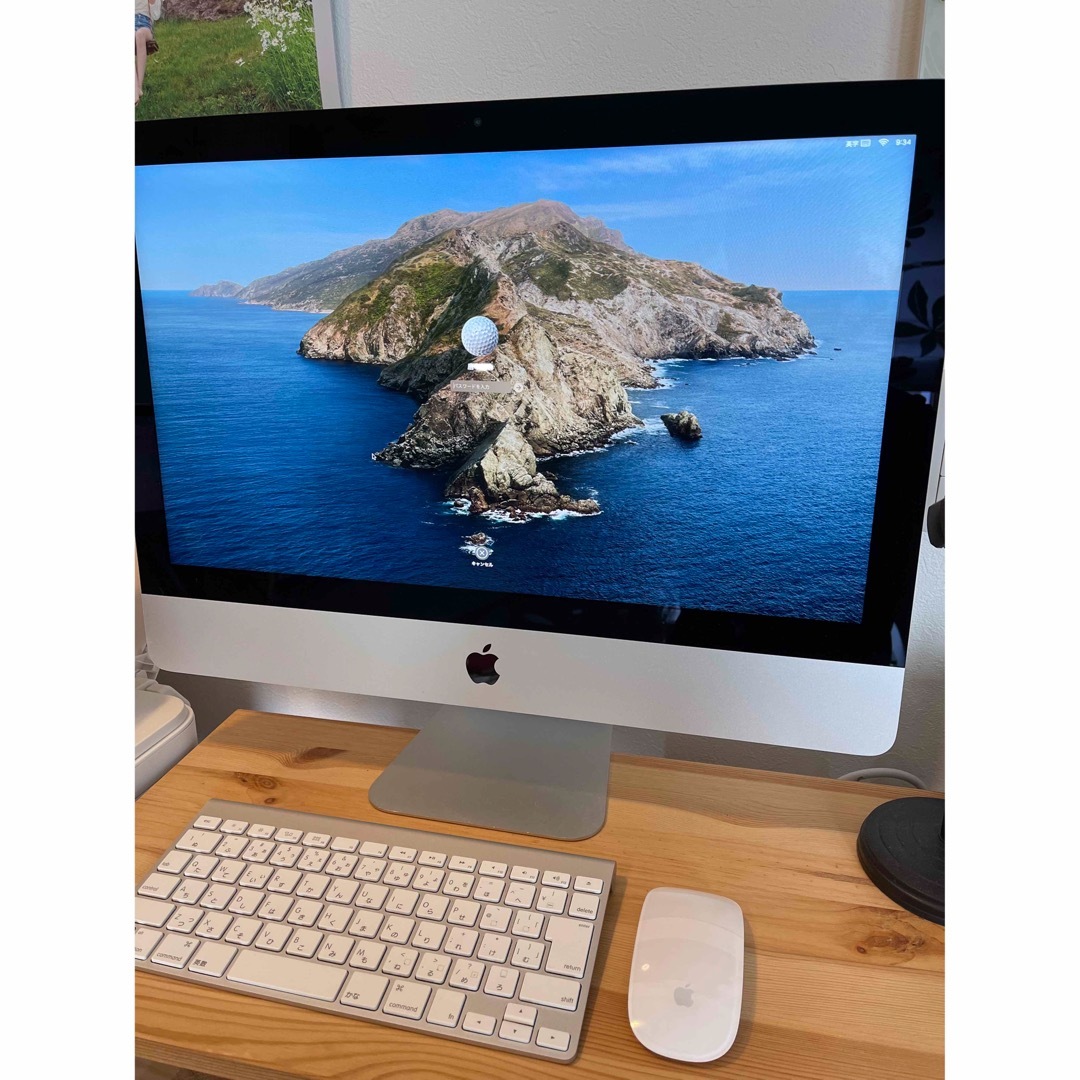 Apple iMac 21.5インチ late 2013 HDD 1TB-