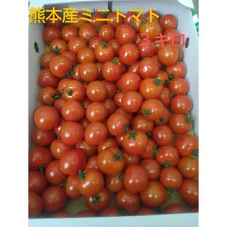 熊本産ミニトマト3キロ(野菜)