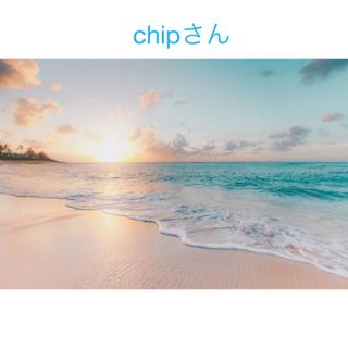 chipさん(各種パーツ)