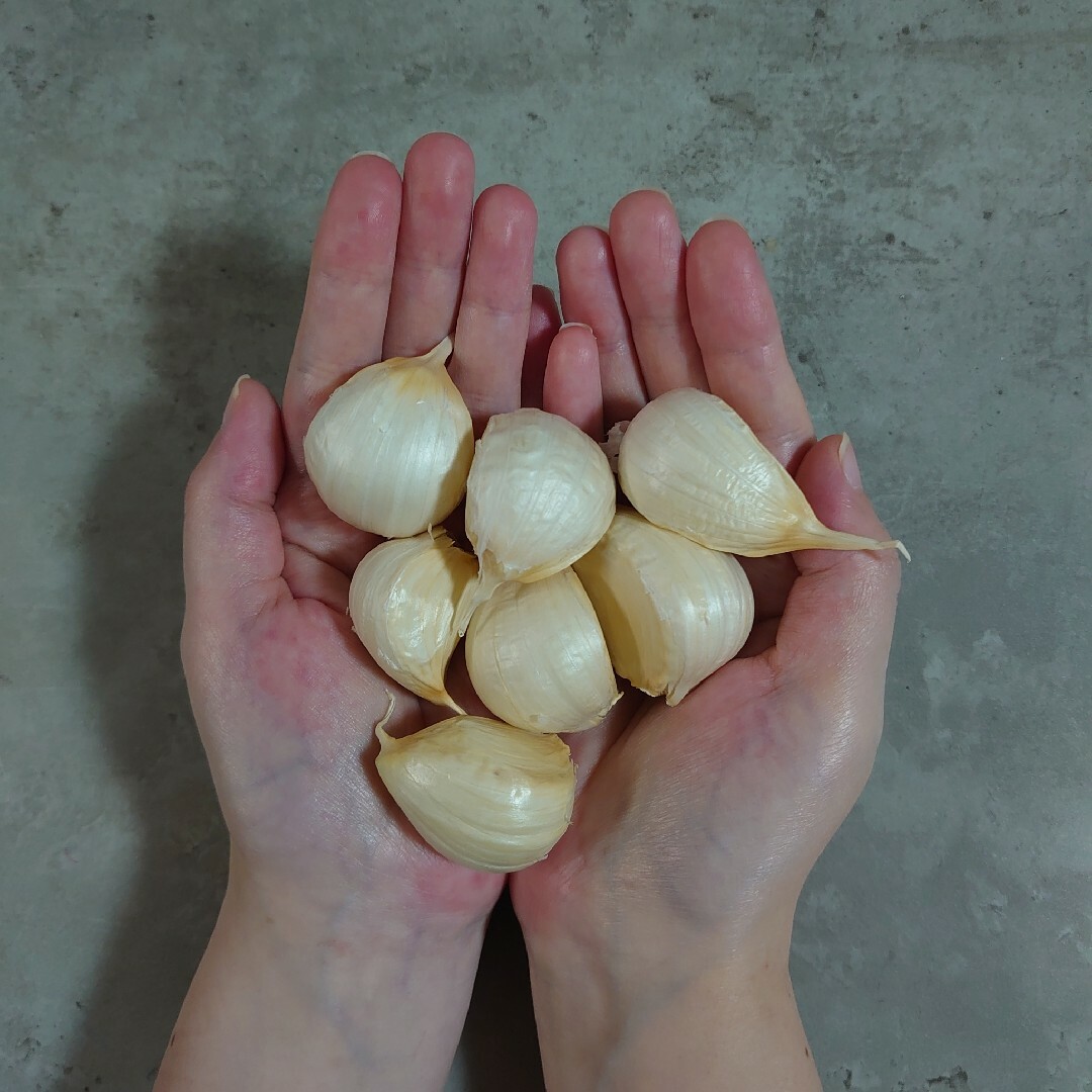 青森県産 ホワイト六片 ニンニク 1kg 食品/飲料/酒の食品(野菜)の商品写真