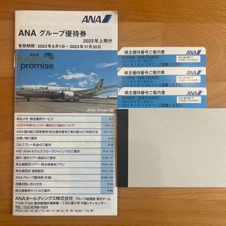 エーエヌエー(ゼンニッポンクウユ)(ANA(全日本空輸))の★ANA 株主優待券　3枚セット(航空券)