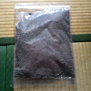 カカオニブ　血圧低下予防　500g  スーパーフード　2024.06.06(調味料)