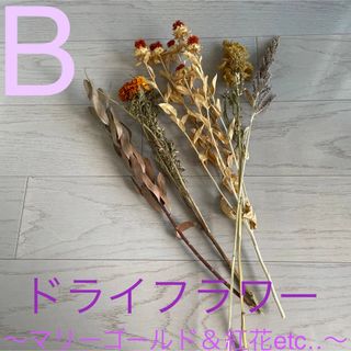 ドライフラワー☆ B 〜マリーゴールド＆紅花＆etc‥〜(その他)