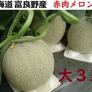 富良野産 赤肉メロン 大3玉ラベンダ付 （1.8ｋｇ以上/玉）(フルーツ)