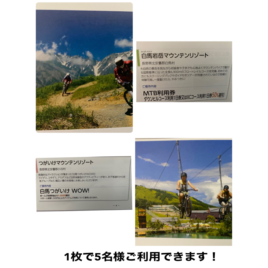 95%OFF!】 日本スキー場AA 白馬岩岳MTB半額 白馬つがいけWOW 1000円引き券 1枚 白馬つがいけWOW!割引券