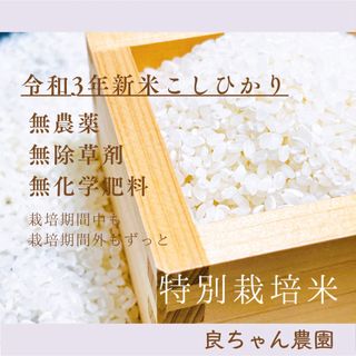 特別栽培米　栽培期間中無農薬（栽培期間外もずっと）令和3年産3合(450g）(米/穀物)
