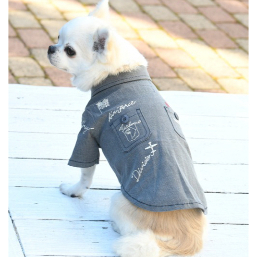 AVIREX(アヴィレックス)の新品✨タグ付き♪ AVIREX シャツ　犬服　　ブルーほか その他のペット用品(犬)の商品写真