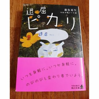 退屈ピカリ　つれづれノート４３　銀色夏生(その他)