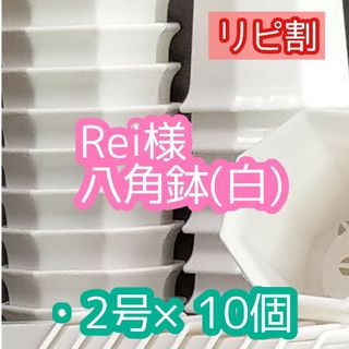 Rei様 八角鉢(プランター)