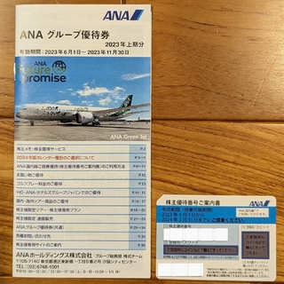 株主優待　ANA(航空券)
