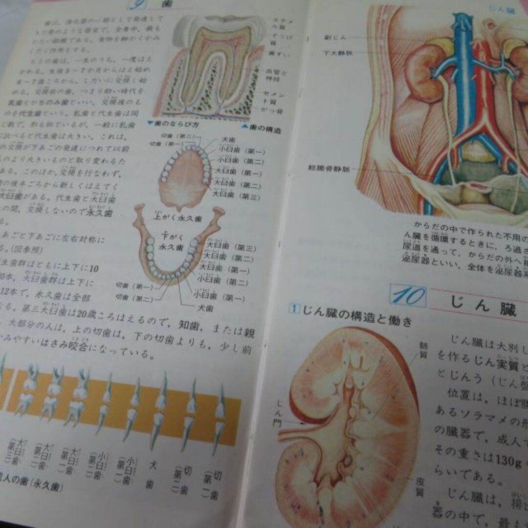 学研(ガッケン)の学研 ポケット科学図鑑 1972,1974年 計4冊（破損・汚損有） エンタメ/ホビーのコレクション(その他)の商品写真