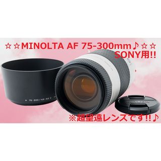 MINOLTAの通販 4,000点以上 | フリマアプリ ラクマ - 2ページ目