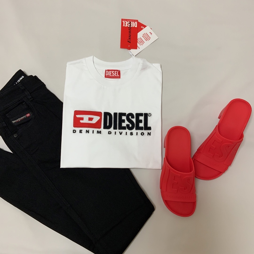 DIESEL(ディーゼル)の洗練されたデザイン　DIESEL　T-REG DIV　Tシャツ　ホワイト　L レディースのトップス(Tシャツ(半袖/袖なし))の商品写真