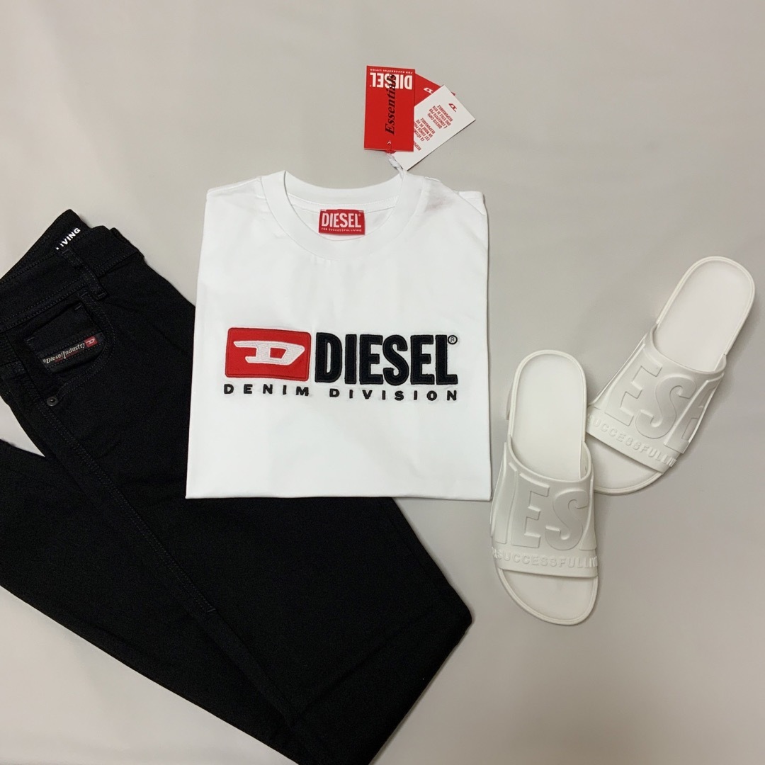 DIESEL(ディーゼル)の洗練されたデザイン　DIESEL　T-REG DIV　Tシャツ　ホワイト　M レディースのトップス(Tシャツ(半袖/袖なし))の商品写真