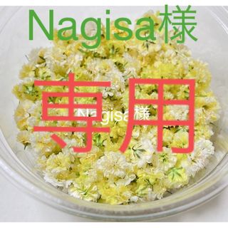 ドライフラワー 花材 かすみ草 イエローミックス 100粒 プレゼント付き(ドライフラワー)