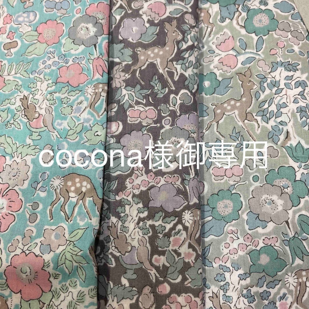 驚きの安さ cocona 様御専用ページ -