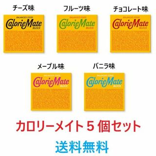 オオツカセイヤク(大塚製薬)のカロリーメイトブロック４本入×５箱 チーズ チョコレートメープルバニラフルーツ(その他)