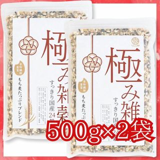 極み雑穀すっきり国産24穀 500g×2 雑穀 雑穀米 もち麦多め 食物繊維(米/穀物)