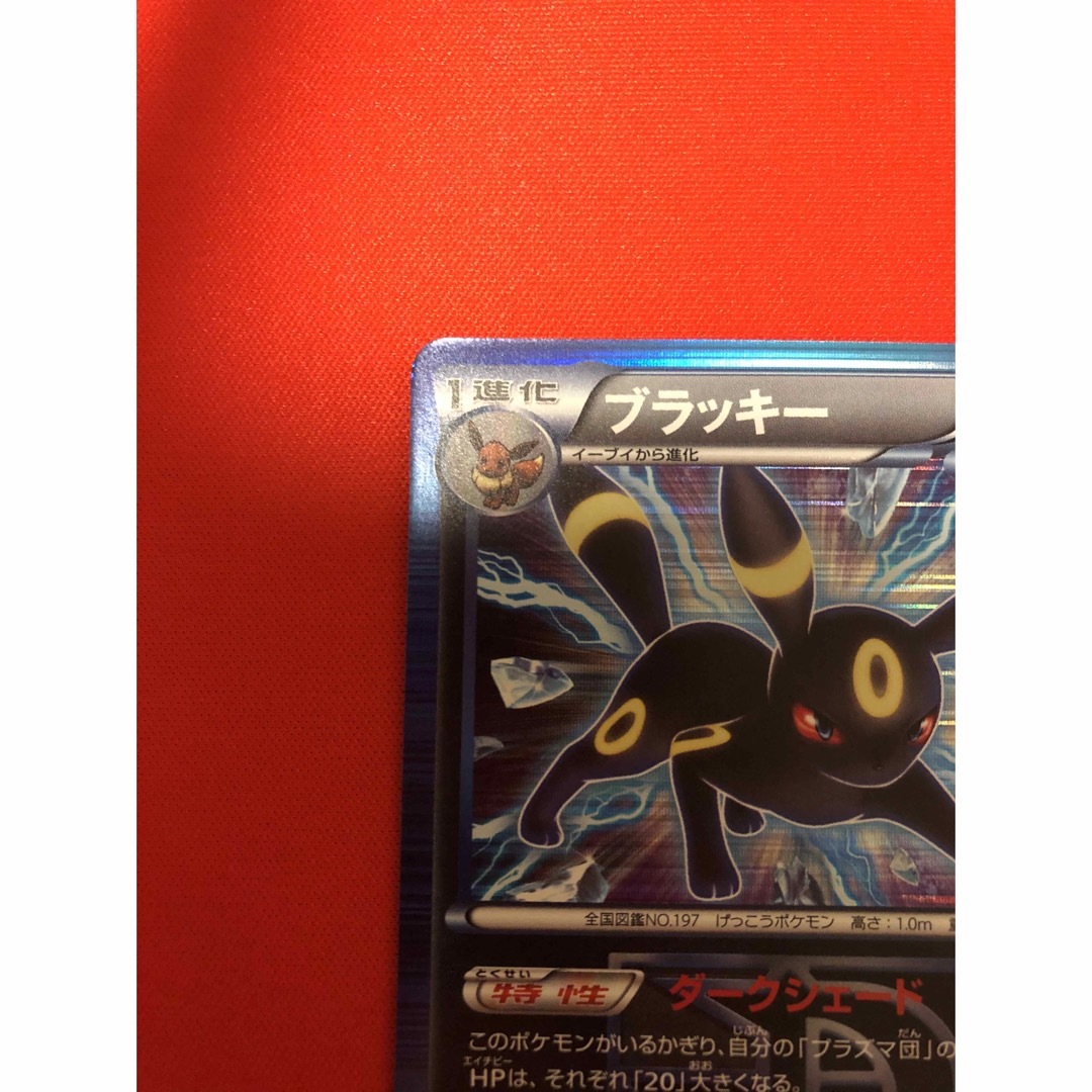 ポケモンカードゲームBW ライデンナックル プラズマ団 ブラッキー 1ED