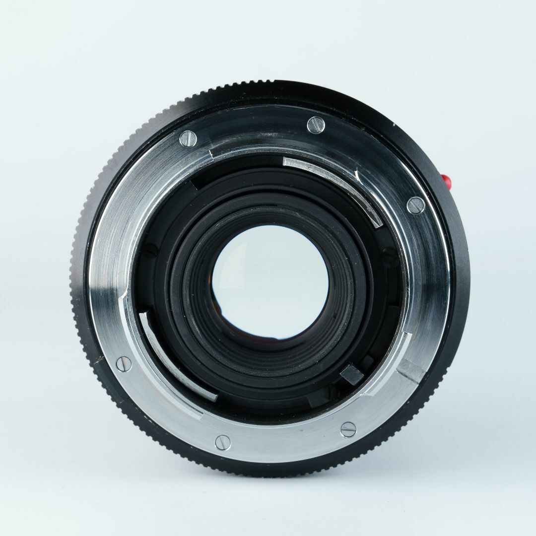 Leicaの等倍マクロ！Macro-Elmar-R 60mm F2.8