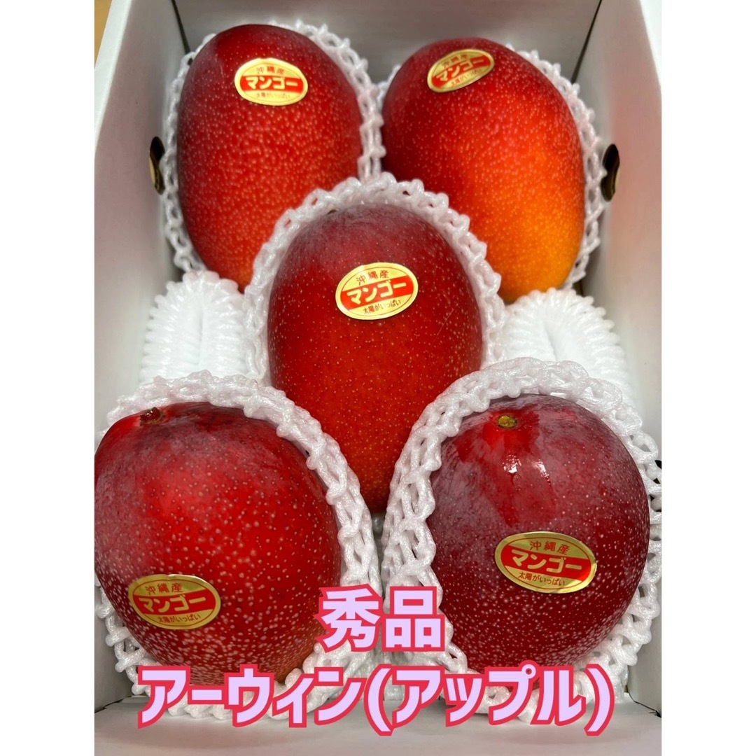 大玉秀品❣️アーウィン(アップル)マンゴー箱込み2.5Kクール(全国送料一律) 食品/飲料/酒の食品(フルーツ)の商品写真