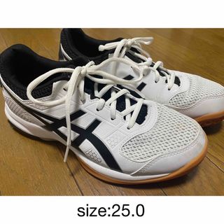 アシックス(asics)のasics バレーボールシューズ(バレーボール)