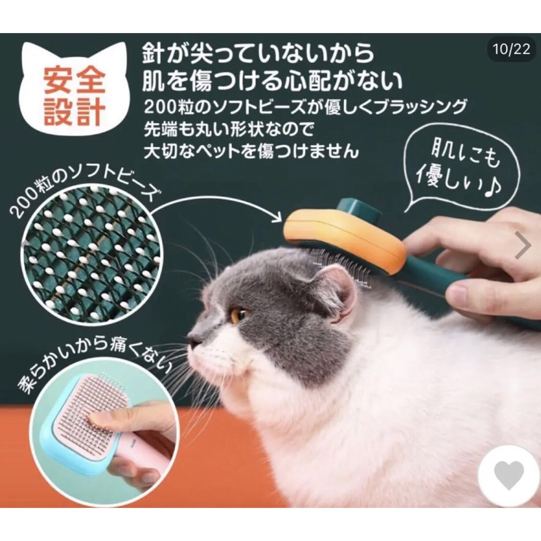 子猫用品初期セット その他のペット用品(猫)の商品写真