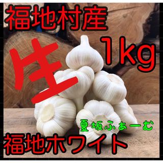 青森県福地村産　生にんにく　L 1kg 福地ホワイト　青森県産　夏坂ふぁーむ(野菜)