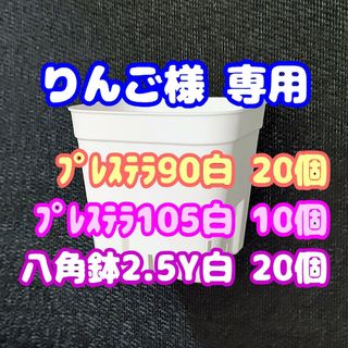 【スリット鉢】プレステラ90白20個・105白10個 他 多肉植物 プラ鉢(プランター)