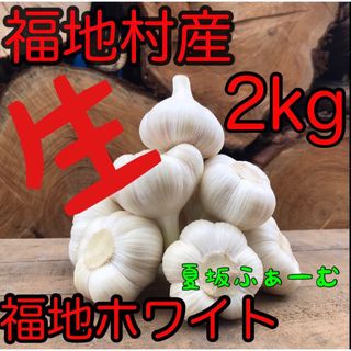 青森県福地村産　生にんにく　L 2kg 福地ホワイト　青森県産　夏坂ふぁーむ　(野菜)