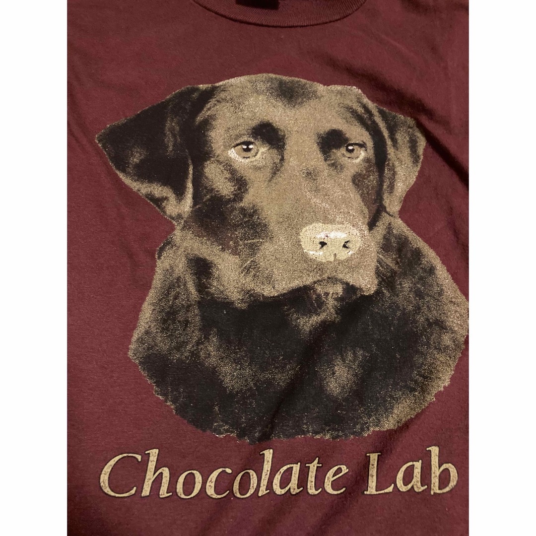 JERZEES - 犬tシャツ ラブラドールレトリバー チョコラブ 古着の通販
