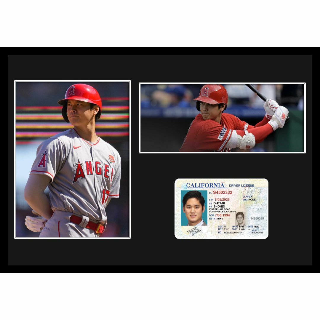 MLB ロサンゼルス・エンゼルス 大谷翔平 IDカード付フレーム証明書付