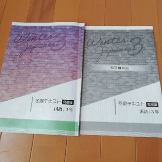 中学3年　国語　発展編　冬期テキスト　総合　問題集　解答解説付き(語学/参考書)