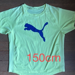 プーマ(PUMA)のプーマ　PUMA  スポーツTシャツ　150(Tシャツ/カットソー)