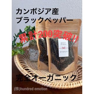 ”世界一美味しい胡椒”カンボジア産ブラックペッパー50g カンポットペッパー松(調味料)