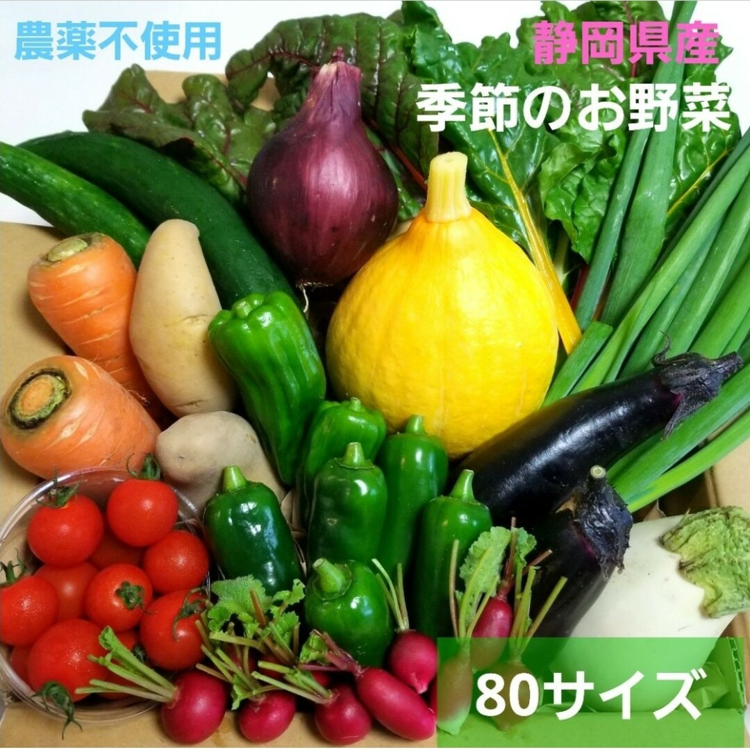 農薬不使用　季節のお野菜　Mサイズ　野菜詰め合わせ 食品/飲料/酒の食品(野菜)の商品写真