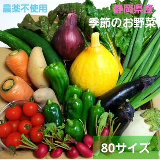 農薬不使用　季節のお野菜　Mサイズ　野菜詰め合わせ(野菜)