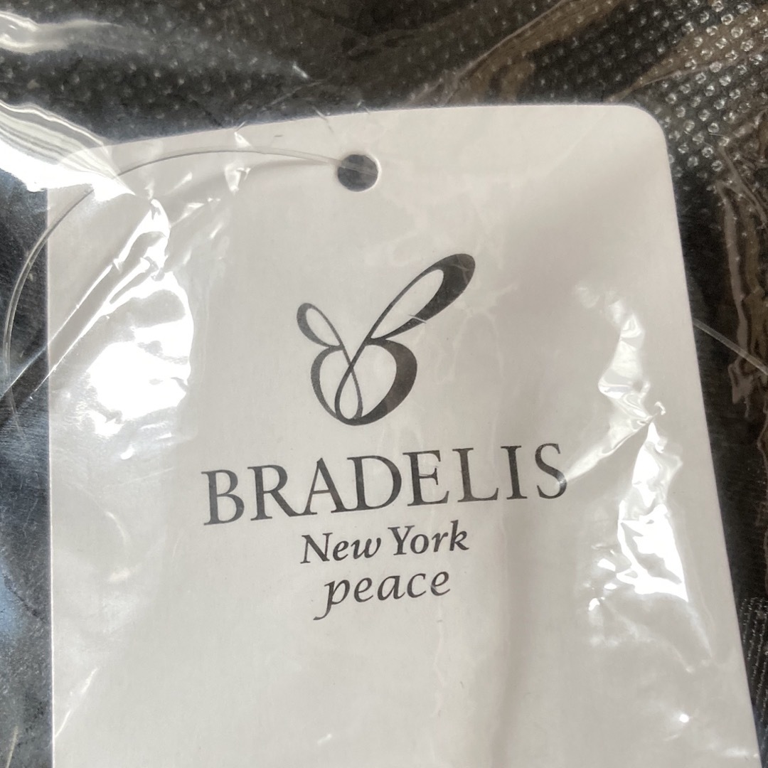 BRADELIS New York(ブラデリスニューヨーク)のブラデリス　バストアップシェイパープラ　3L 2枚セット レディースの下着/アンダーウェア(ブラ)の商品写真