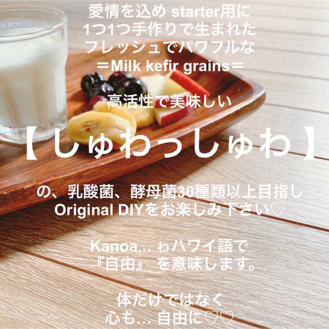 ドライtype・ミルクケフィアグレイン ♡ 失敗しないレシピ＆サポートつき コスメ/美容のダイエット(ダイエット食品)の商品写真
