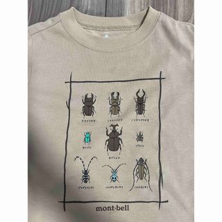 モンベル　クワガタ　カブトムシ　カミキリ　Tシャツ　タグ無し　未使用