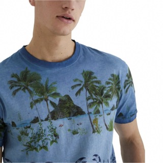 デシグアル(DESIGUAL)の新品✨タグ付き♪定価8,900 円　デシグアル✨　メンズ　Tシャツ　大特価‼️(Tシャツ/カットソー(半袖/袖なし))