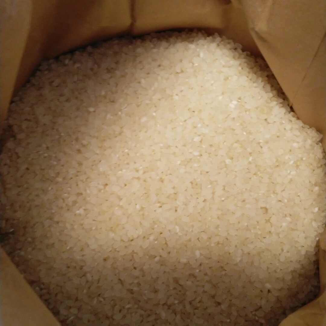 令和4年産栃木県特一等米コシヒカリ30キロ、玄米、無農薬にて 令和4年産栃木県特一等米コシヒカリ30キロ、玄米、無農薬にて