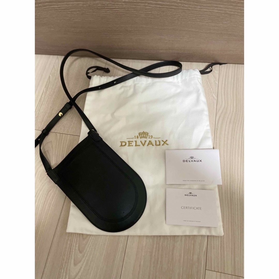 DELVAUX(デルヴォー)の美品　デルヴォー　pinミニバッグ　ショルダーバッグ レディースのバッグ(ショルダーバッグ)の商品写真