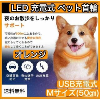 光る首輪　オレンジ　犬の首輪　ペット　USB充電式　Мサイズ　犬用(その他)