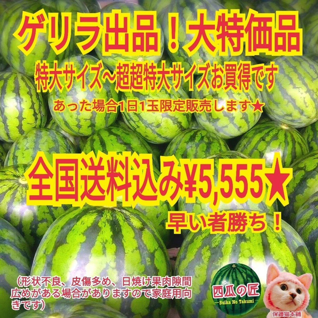 1日1玉限定特別価格★西瓜の匠厳選鳥取ブランド西瓜1玉 食品/飲料/酒の食品(フルーツ)の商品写真