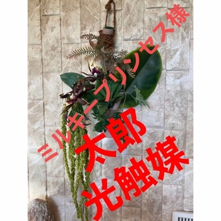 光触媒　人工観葉植物　ウォールグリーン　フェイクグリーン　アガベブランチ(壁掛けミラー)