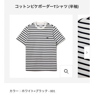 ラコステ(LACOSTE)のラコステ　コットンピケボーダーTシャツ(Tシャツ/カットソー(半袖/袖なし))